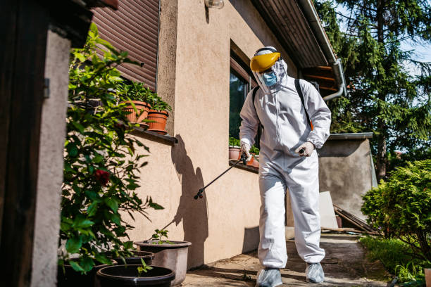 Best Pest Removal Services  in Lead, SD
