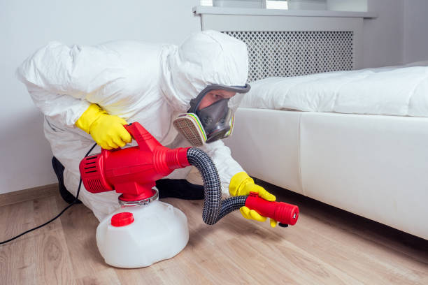 Best Pest Prevention Services  in Lead, SD