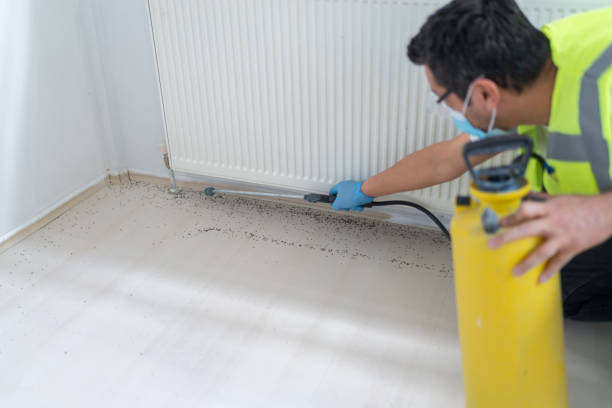 Best Bed Bug Extermination  in Lead, SD